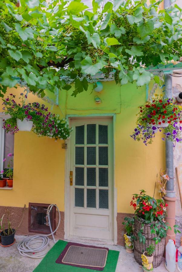 Pine House Apartment Brasov Bagian luar foto