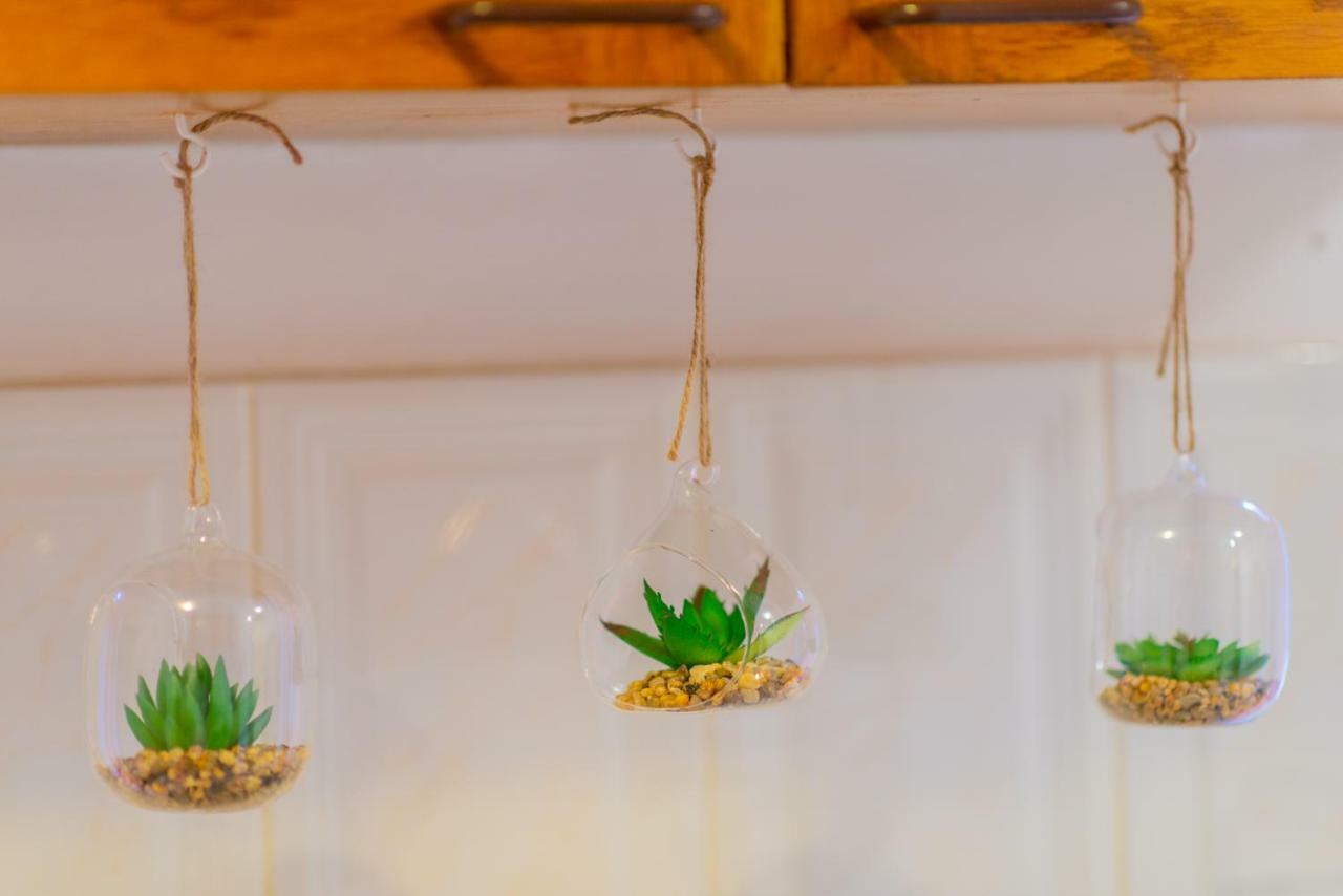 Pine House Apartment Brasov Bagian luar foto