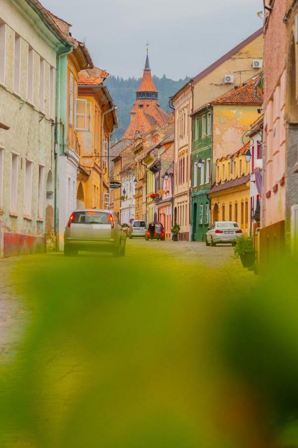 Pine House Apartment Brasov Bagian luar foto