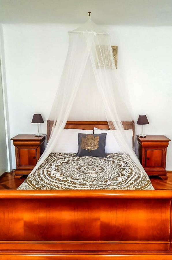 Pine House Apartment Brasov Ruang foto